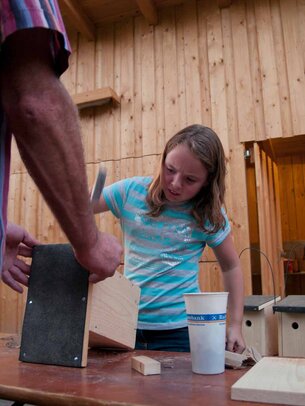 Thumbnail: _8173623.jpg