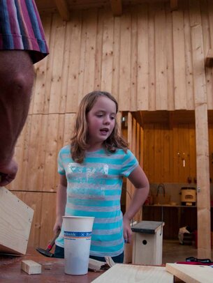 Thumbnail: _8173625.jpg