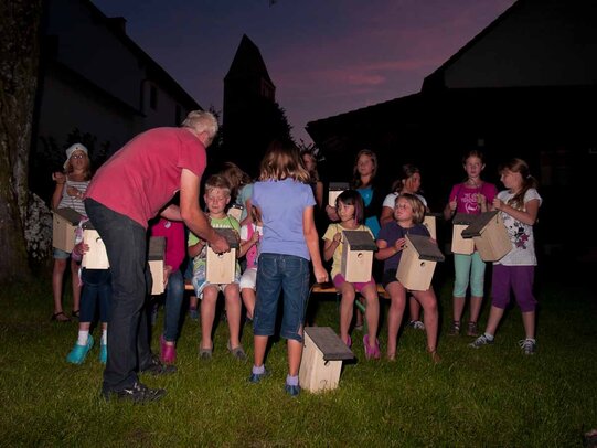 Thumbnail: _8173687.jpg