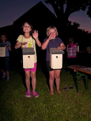 Thumbnail: _8173707.jpg