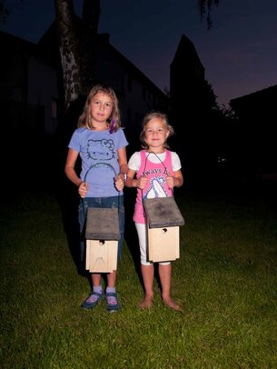 Thumbnail: _8173709.jpg