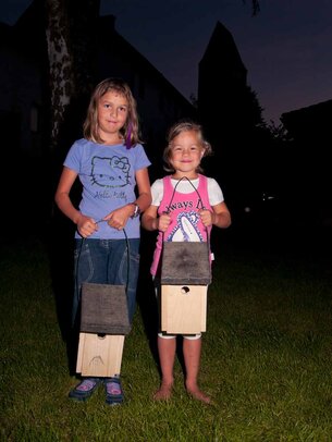 Thumbnail: _8173710.jpg