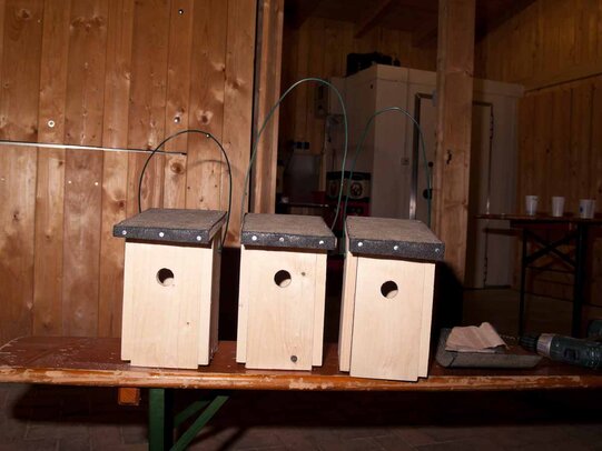 Thumbnail: _8173713.jpg