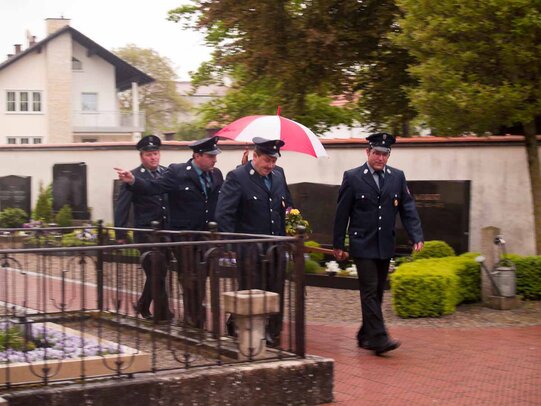 Thumbnail: _5061449.jpg